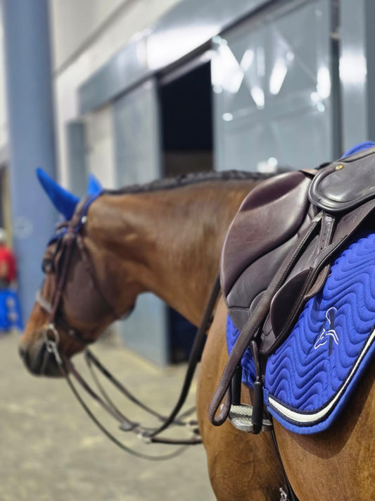 My Way: Happy Horses, One Step at a Time