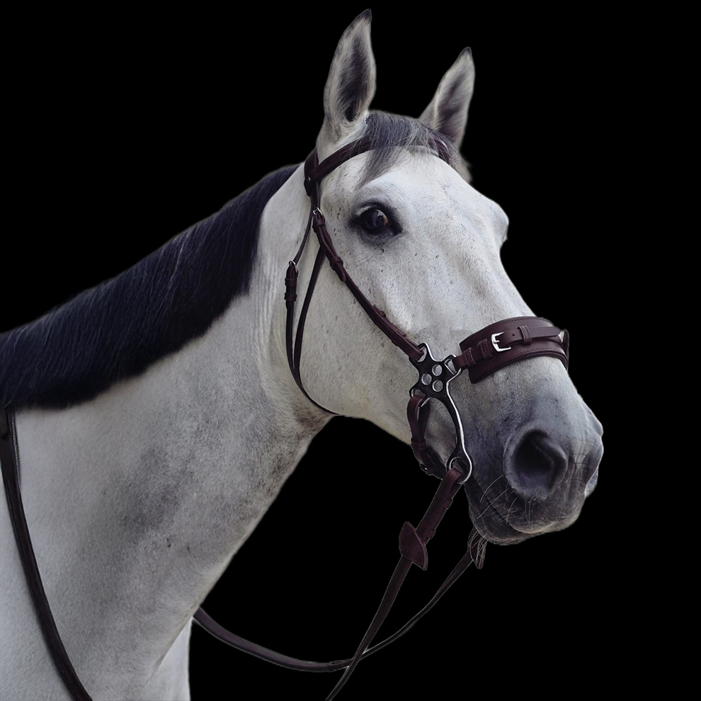 Custom Made "A Bridles"