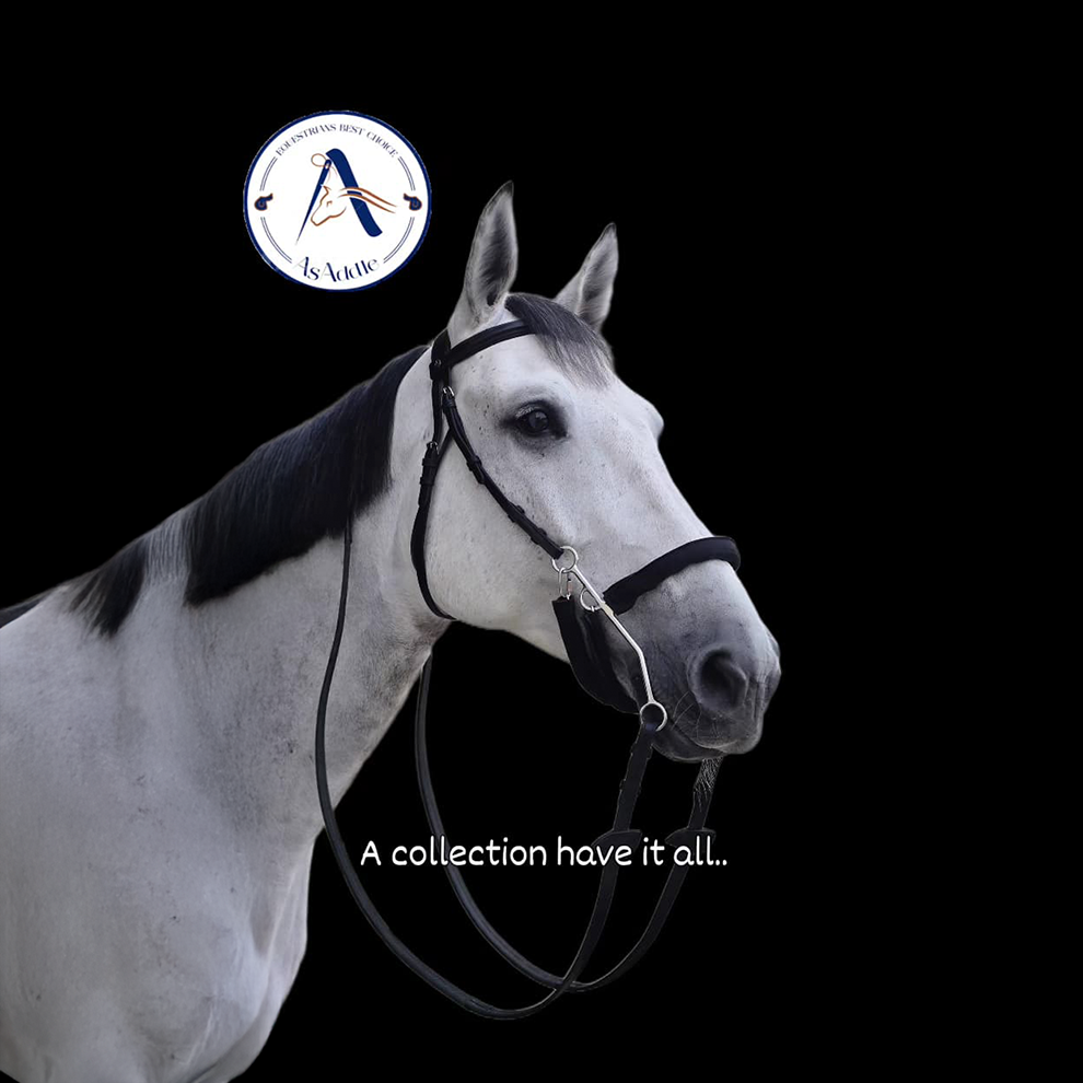 Custom Made "A Bridles"