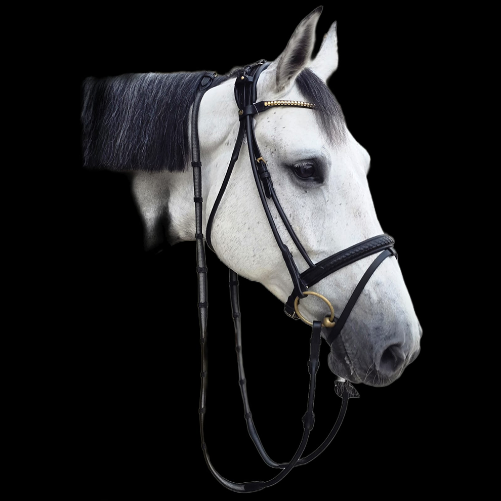Custom Made "A Bridles"
