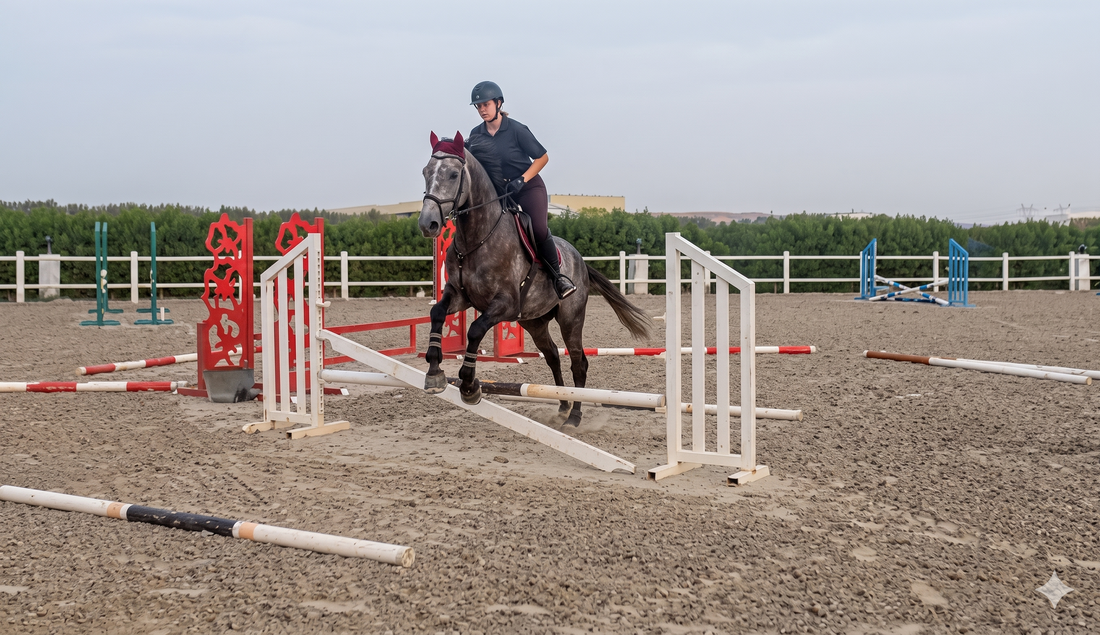 My Young Horse Story – Part 2: The First Jump