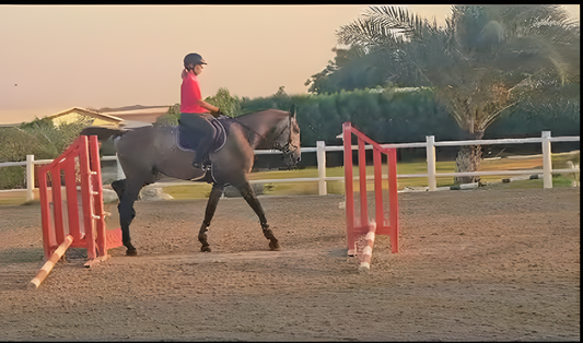 Building Balance Before Speed