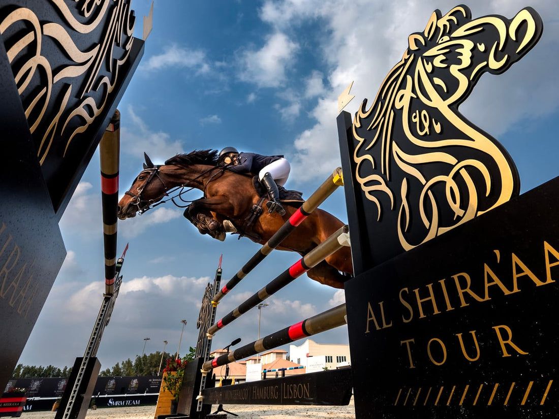 Listening to the Horse: Why I Chose to Stop