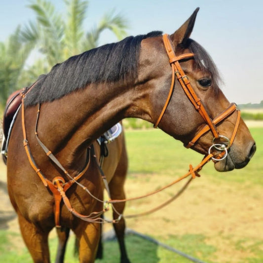 Custom Made "A Bridles"